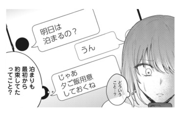 「元妻となんて悔しい」夫と元妻との生々しいメールのやり取りが!? シタ側だった私が、サレ妻になった瞬間【いつわりの夫婦 略奪した私がサレ妻になる #５】 画像