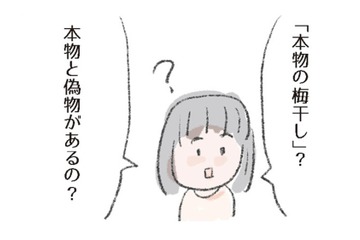 「梅干し」には、本物と偽物があるって知ってた?! 1000年以上前から食べられてきた特効薬【激せまキッチンで時短！簡単！ムダなしごはん #２】 画像