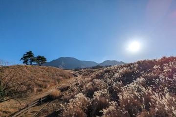 ウイルスや寒さの影響で体調を崩しがちな「冬至」の時季、「意外な３つの海鮮」を食べるべし？１つは赤くて２つは白くて 画像