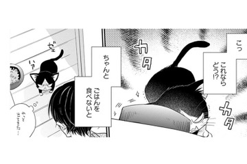 【猫視点】ごはんを食べないと動けなくなる！ お皿ごと運んで来た時、人間が倒れて!?【同居人はひざ、時々、頭のうえ。 #９】 画像