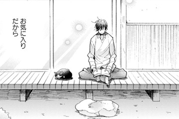 【猫視点】この場所は、いいおひるね場所もあるしごはんもくれるし、わりとお気に入りなんだからね【同居人はひざ、時々、頭のうえ。 #33】 画像