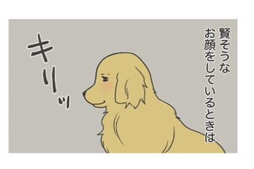 寝ぼけ顔は知的で、目が醒めるととぼけた顔に？愛犬のギャップがかわいい！【おさんぽですし！　おしゃべり犬とイライラ猫の日記 #５】 画像