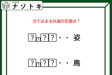クイズです！「姿、鳥、施設を表す、共通の言葉を導きましょう」？には同じ文字が入ります【難易度LV３.・中辛】 画像