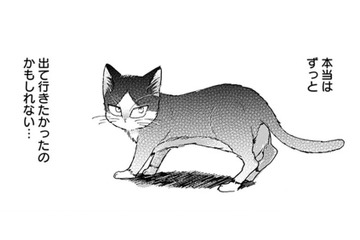 「出て行ったのは猫の意思」だけど、事故にあった両親を思い出して… もう後悔したくない!!【同居人はひざ、時々、頭のうえ。 #47】 画像