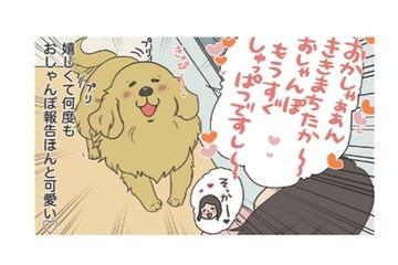 「お散歩行こうか」の声に大興奮…うれしくて何度も報告する愛犬の姿がかわいい【おさんぽですし！　おしゃべり犬とイライラ猫の日記 #17】 画像