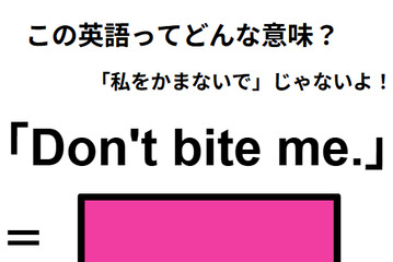 この英語ってどんな意味？「Don’t bite me.」 画像