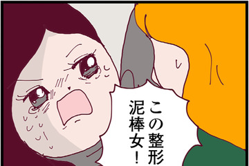 夫の浮気を巡ってママ友同士のケンカ勃発！ 止めに入ろうとすると、別のママ友が衝撃のカミングアウト【整形主婦　サレ妻の逆襲 #５】 画像