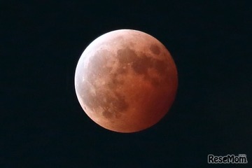 サンシャイン60展望台「ワームムーン」と皆既月食の観賞会3/3 画像