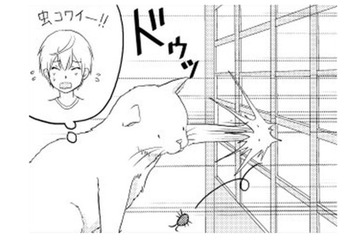 こわがりな弟のため、虫を退治したねこまた！ 一緒に障子が破れて、兄に怒られそう…【ウチの百鬼夜行 #９】 画像