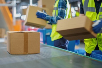 「スポーツのような爽快感」63歳男性の仕事探し。早朝4時、宅配便仕分けに挑戦。ギャルや主婦に混じって汗を流す 画像