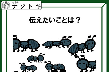 クイズです！「このイラストが伝えていることは？」生き物がたくさんいますね【難易度LV２.・甘口】 画像