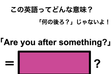 この英語ってどんな意味？「Are you after something?」 画像
