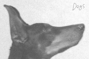 『九条の大罪』主題歌に起用された羊文学「Dogs」のアートワーク公開。初の全国ホールツアーも開催決定 画像