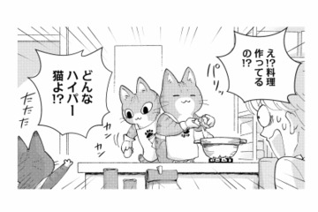 「料理を作るってどんなハイパー猫!?」出てきたのは熱々の味噌煮込みうどん…！【家政婦よんだら猫がきた #４】 画像