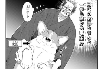 「犬を飼ってやしないだろうね？」大家にバレたら追い出される…この奔放な家臣を守らねば【殿と犬 #３】 画像