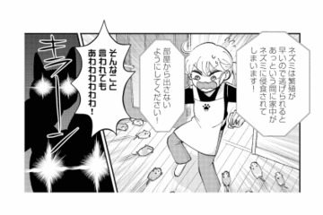 引き出しを開けた瞬間、ネズミが飛び出した！パニックの私を猫たちが…!?【家政婦よんだら猫がきた #22】 画像