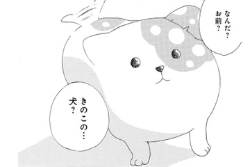 「妖怪？それとも妖精？」きのこの下から現れたのは、犬みたいな謎の生き物だった【きのこいぬ #２】 画像