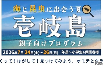 【夏休み2026】壱岐島、親子向けプログラム参加者募集 画像