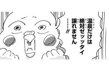 「温泉を諦めれば選択肢が広がる」物件探しのハードルに心折れ、まさかの条件を変更!?【98万円で温泉の出る築75年の家を買った #７】 画像