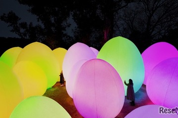 【夏休み2026】チームラボ、夜の野外ミュージアムに大阪の小中学生を招待 画像