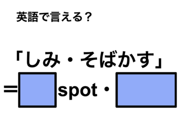 英語で「しみ・そばかす」は何て言う？ 画像