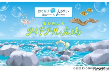 【夏休み2026】新江ノ島水族館がテラスモール湘南へ、海の生き物と学ぶ16日間 画像