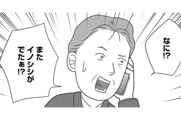 「襲う」と「食べる」は別問題！草食動物が人間を死に至らしめる「予期せぬ引き金」【いまどきの死体　法医学者が見た幸せな死に方 #５】 画像