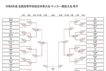 高校サッカー男子インターハイ、滝川第二・静岡学園が4強入り 画像