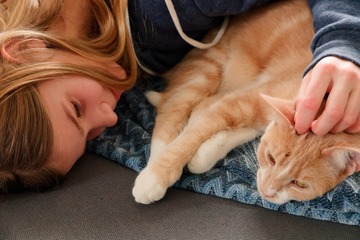 亡き父が大切にしていた猫を「保健所に連れていけ」と言い放った夫…それでも妻が離婚できなかった理由とは 画像