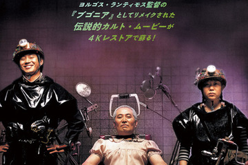 ヨルゴス・ランティモス監督作『ブゴニア』の原点『地球を守れ！ 4Kレストア版』10月、日本初一般劇場公開決定 画像