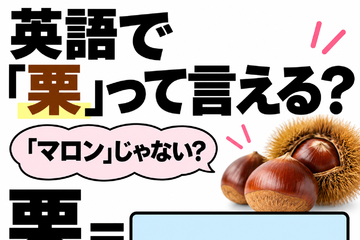 英語で「栗」は「マロン」じゃない？正解は意外なコレでした 画像