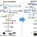 研究手法・研究成果