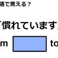 英語で「慣れています」はなんて言う？ 画像