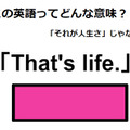 この英語ってどんな意味？「That’s life.」