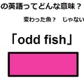 この英語ってどんな意味？「odd fish」 画像