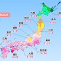 2025年「第一回桜開花予想」