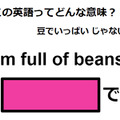 この英語ってどんな意味？「I’m full of beans.」 画像