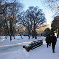 北海道大学 試験会場に向かう橋に雪だるま（記事の内容とは関係ありません）