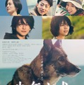 「少年と犬」本ポスタービジュアル（C）2025 映画「少年と犬」製作委員会