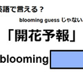 英語で「開花予報」はなんて言う？ 画像