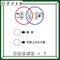 クイズです！「ベン図の意味を考えよう」矢印をよく見ると分かるかも？【難易度LV.3・中辛】 画像