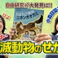 「ふしぎいっぱい絶滅動物のせかい」