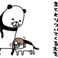 愛犬の顔をよくよく観察。なにやら「わさわさ」している存在が…【パンダと犬 ＃14】