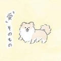 犬の神秘…むっくは胸毛もふわふわ過ぎて「愛」そのものの存在か?!【うちのむっくはいつも楽しそう #９ 】