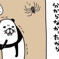 家に巨大なクモが出現!! 心を落ち着かせるため、震える手で愛犬・梅吉を…【パンダと犬 ＃19】 画像