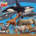 夏の特別展「くらべる図鑑展」