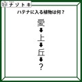 クイズです！「愛→上→丘→〇」〇に入る植物、なーんだ？順番に読んでみましょう【難易度LV2.・甘口】 画像