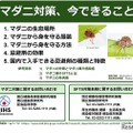 マダニ対策、今できること