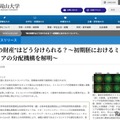 岡山大、ミトコンドリアの分配機構を解明…体外受精の安全性向上へ 画像