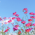 ※画像はイメージです
